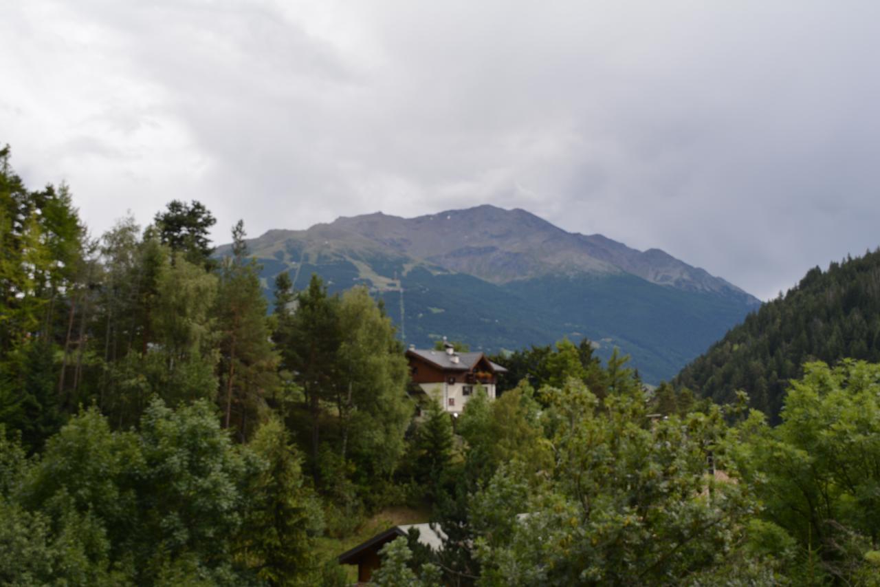 Albergo - B&B Alpina Premadio Exteriér fotografie